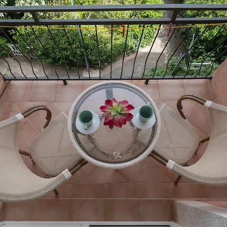 Maison d'hôtes Palma & Budva